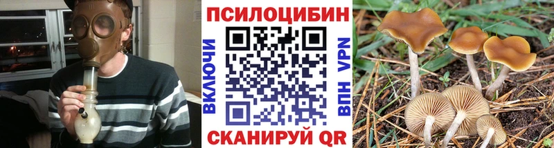Псилоцибиновые грибы мухоморы  Ревда 